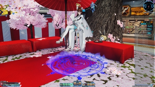 桜の花仕様
