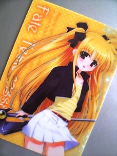 フェイトさんはよいですね♪